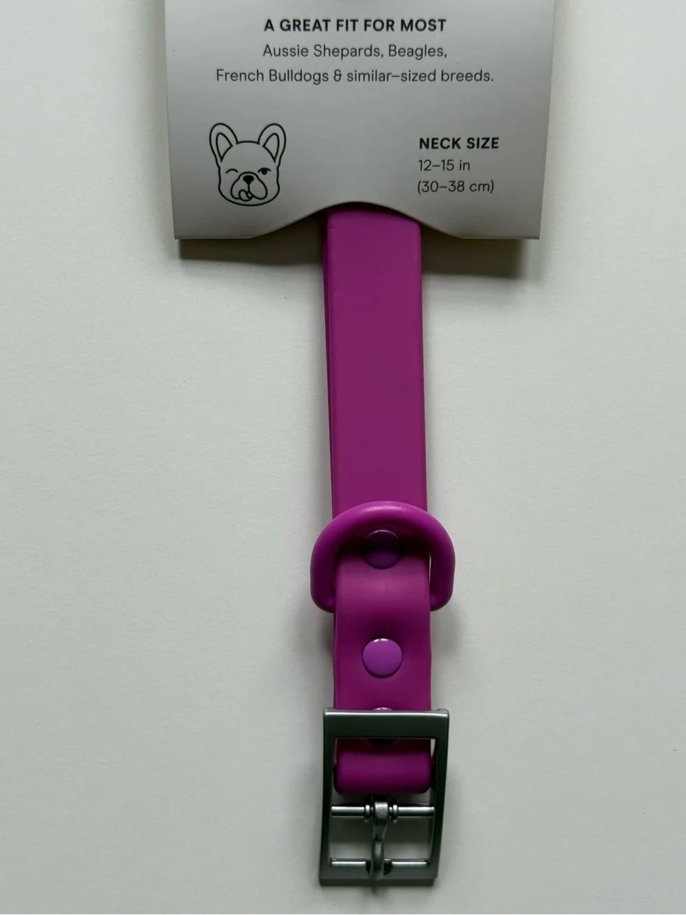 Wild One Dog Collar - M (12-15